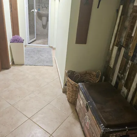 за двама в град ホームステイ *